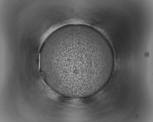 X0000115281175200911201745