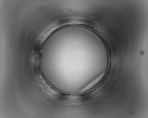 X0000115281177200911201745