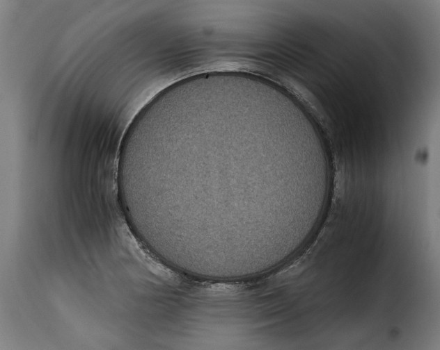 X0000115281178200911201745