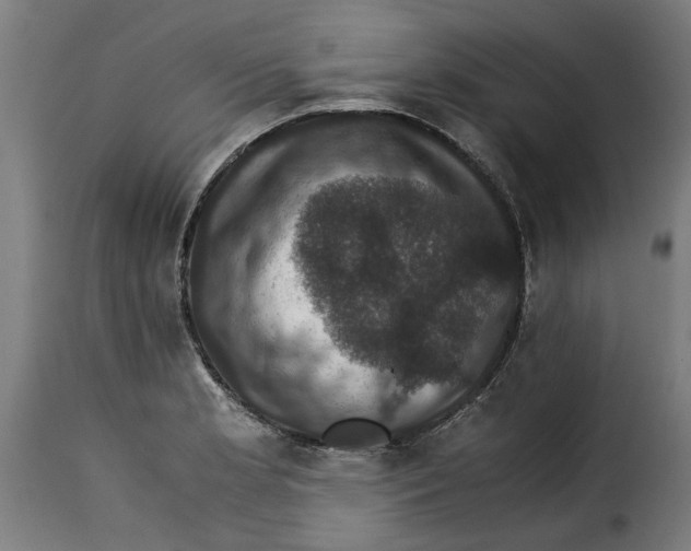 X0000115281181200911201745