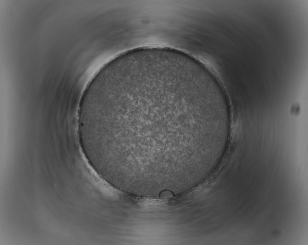 X0000115281183200911201745