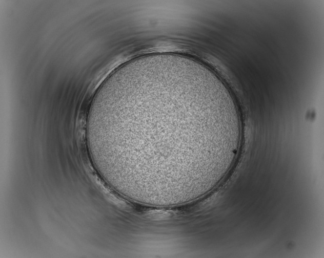 X0000115281185200911201745