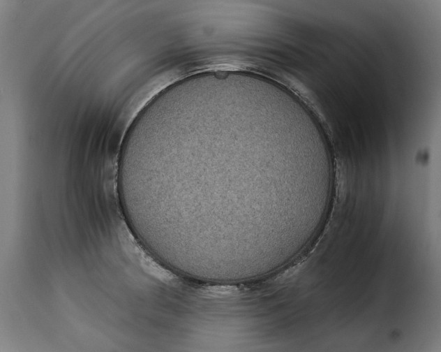 X0000115281186200911201745