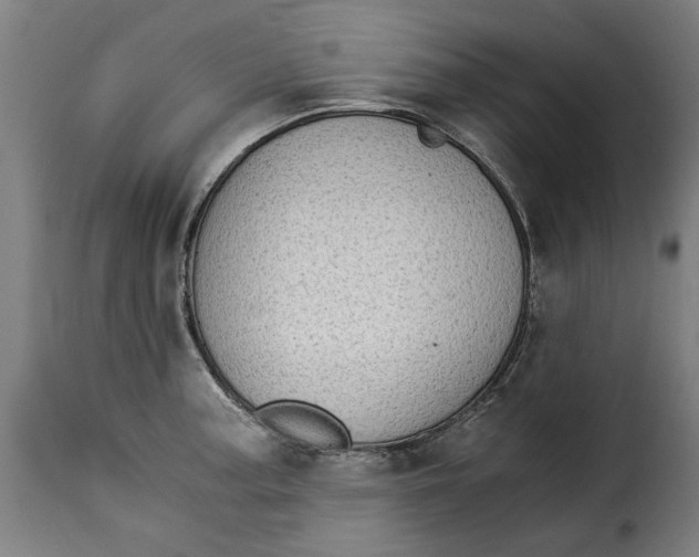 X0000115281187200911201745