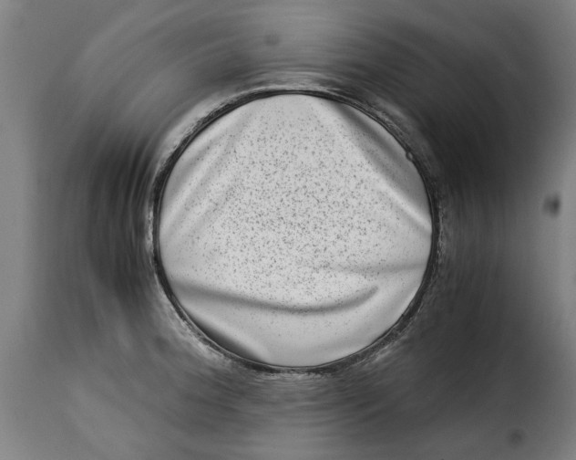 X0000115281188200911201745