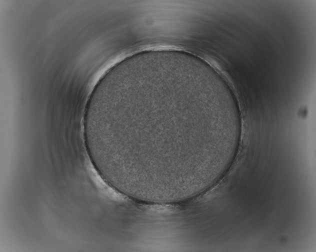 X0000115281189200911201745