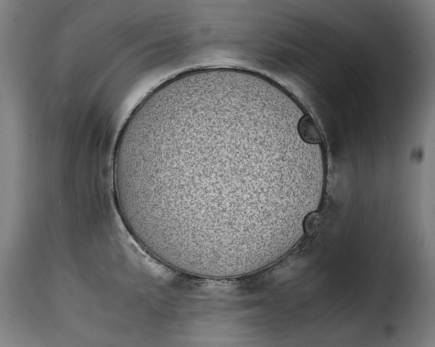 X0000115281191200911201745