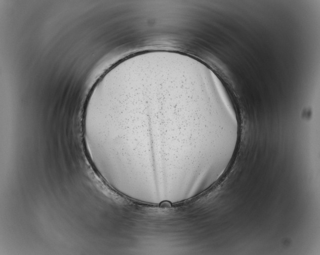 X0000115281192200911201745