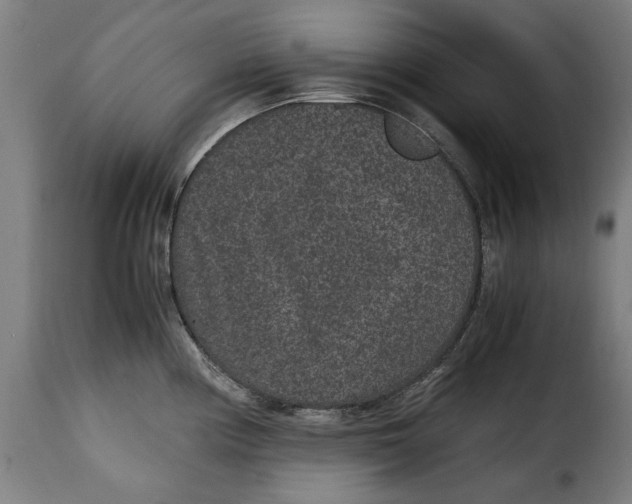 X0000115281194200911201745