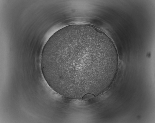 X0000115281195200911201744