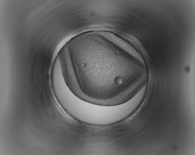 X0000115281196200911201744