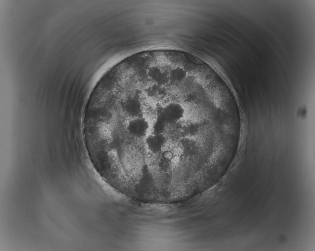 X0000115281197200911201744