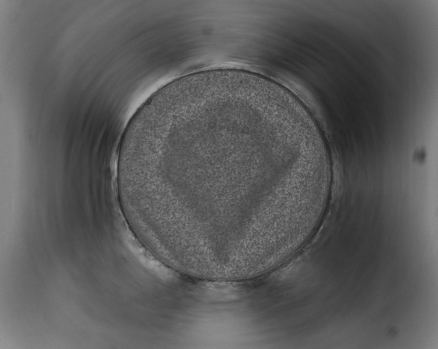 X0000115281198200911201744