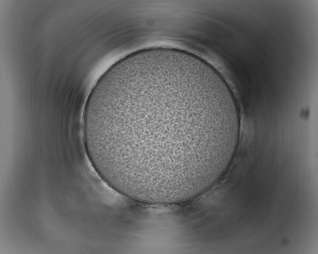 X0000115281199200911201744