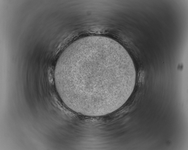 X0000115281202200911201744