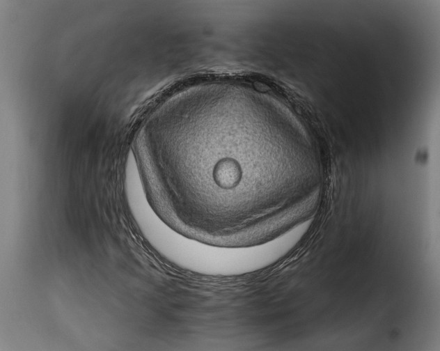 X0000115281205200911201744