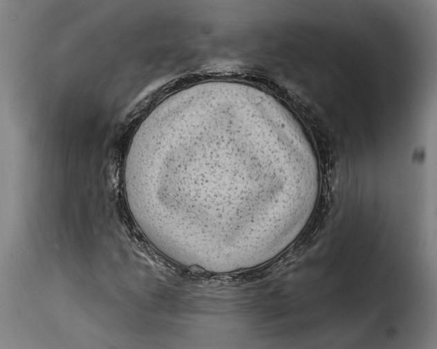 X0000115281206200911201744