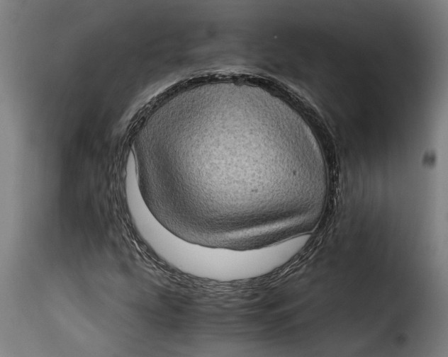 X0000115281207200911201744