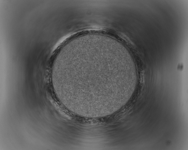 X0000115281208200911201744