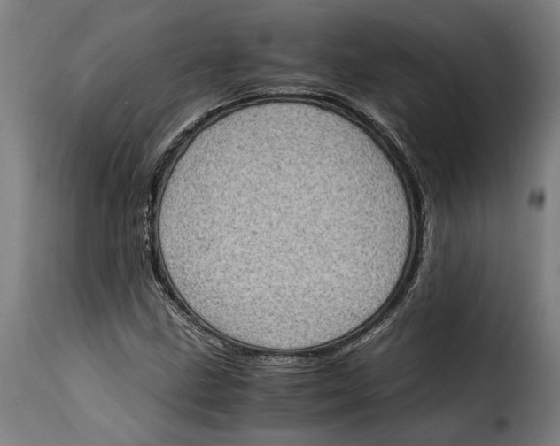 X0000115281211200911201744