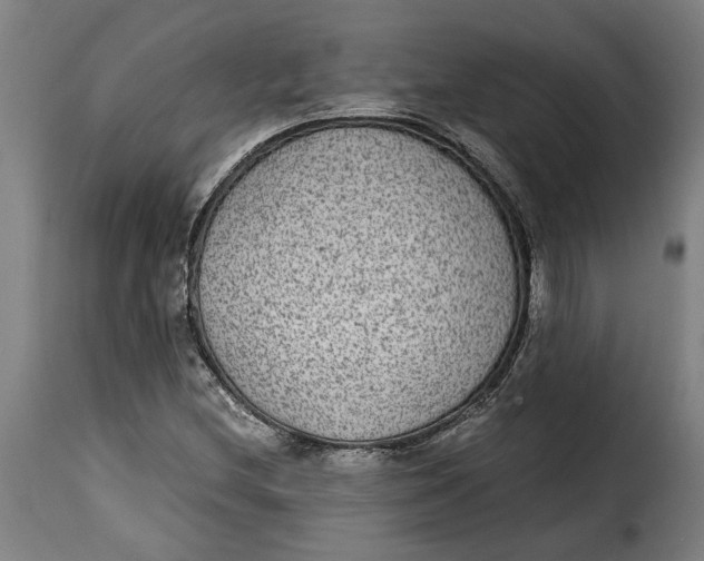 X0000115281212200911201744