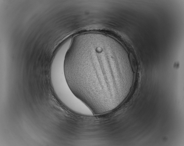 X0000115281217200911201744