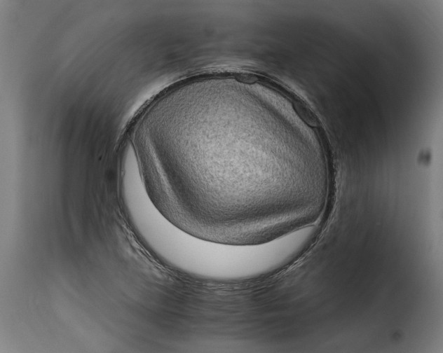 X0000115281219200911201744