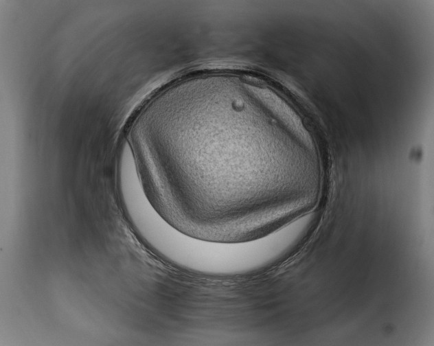 X0000115281221200911201744