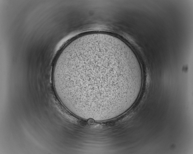 X0000115281222200911201744