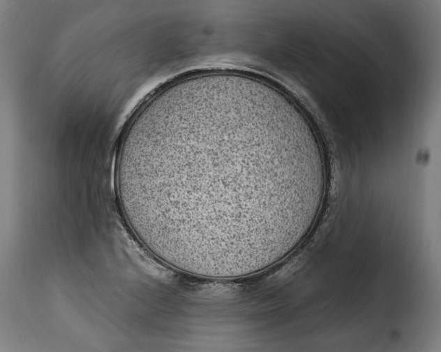 X0000115281224200911201744