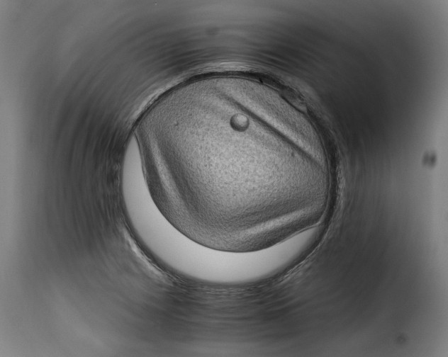 X0000115281225200911201744