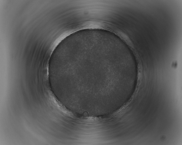 X0000115281226200911201744