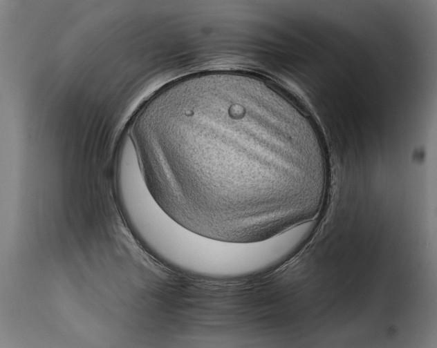 X0000115281227200911201744