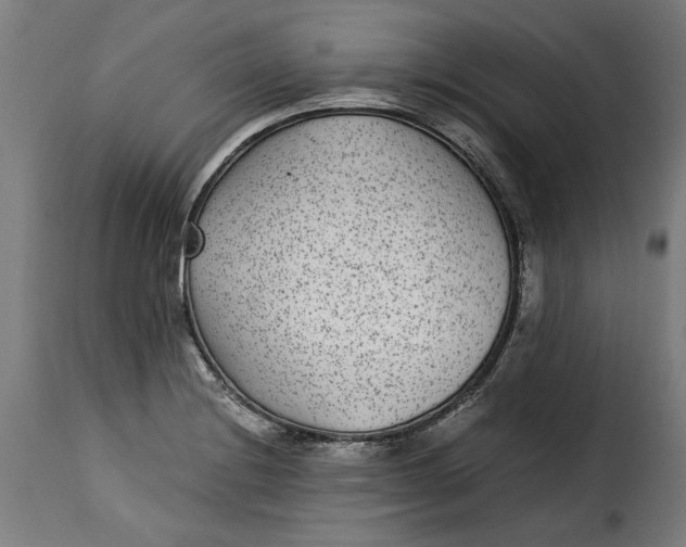 X0000115281228200911201744