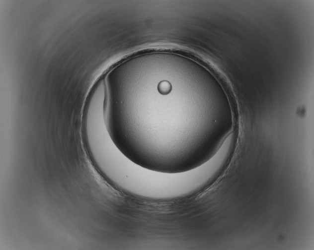 X0000115281229200911201744