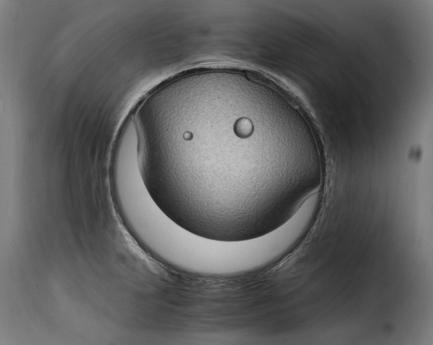 X0000115281231200911201744