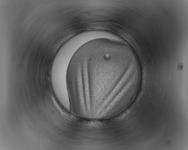 X0000115281233200911201744