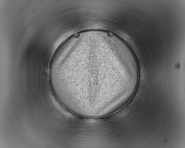 X0000115281234200911201744