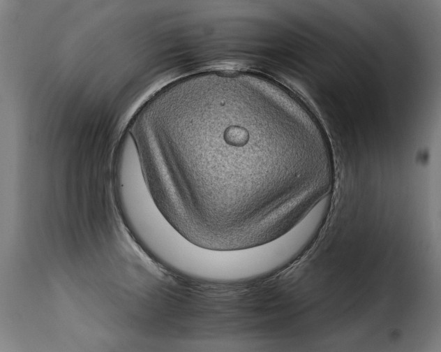 X0000115281235200911201744