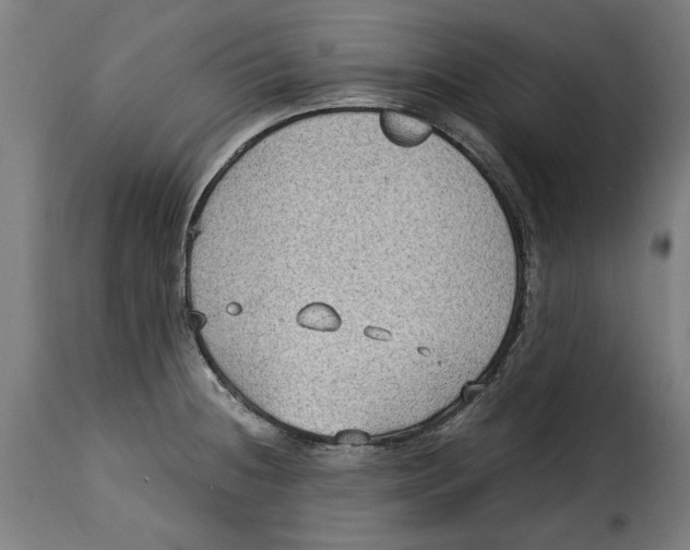 X0000115281236200911201744