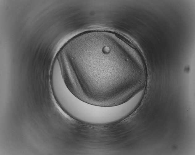 X0000115281239200911201744