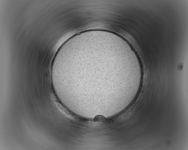 X0000115281242200911201744