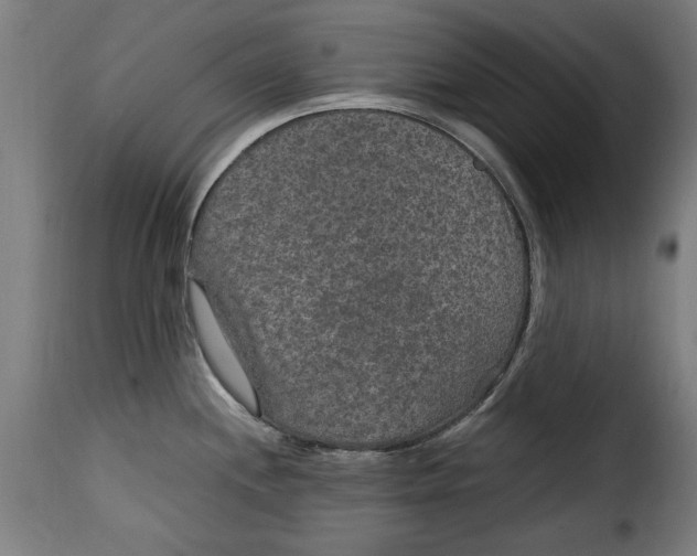 X0000115281244200911201744