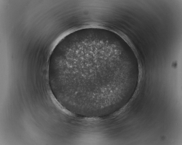 X0000115281246200911201744