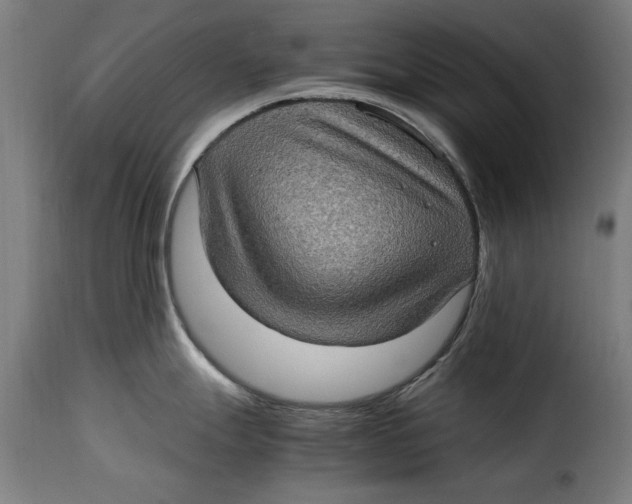 X0000115281247200911201744