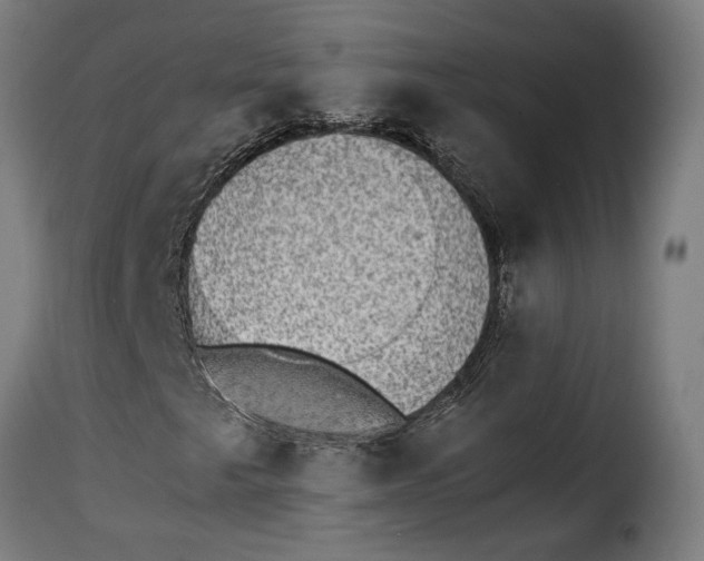 X0000115281249200911201744