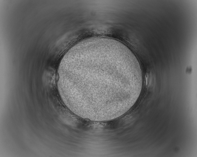 X0000115281251200911201744