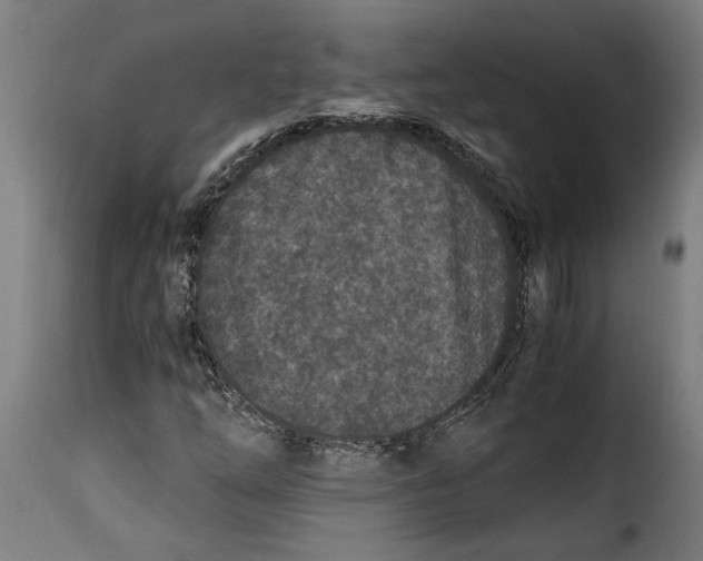 X0000115281254200911201744