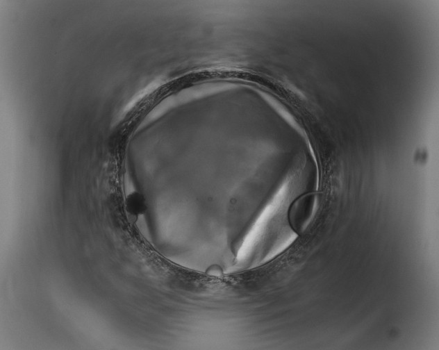 X0000115281255200911201744