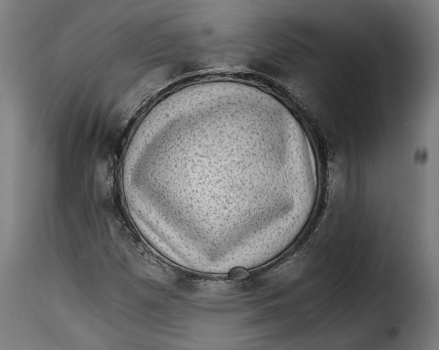 X0000115281257200911201744